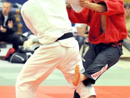 Bilder aus 2011